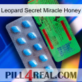 Leopard Secret Miracle Honey new03